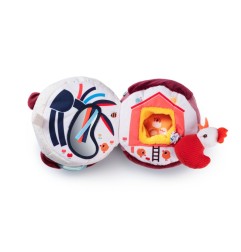 ROSALIE VACHE DECOUVERTES