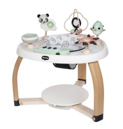 CENTRE DACTIVITES STATIONNAIRE 5 EN 1