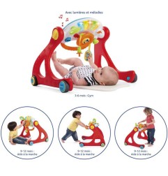 PORTIQUE MULTI ACTIVITES 4 EN 1