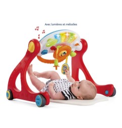 PORTIQUE MULTI ACTIVITES 4 EN 1