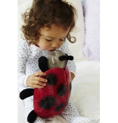 TWILIGHT LADYBUG - COCCINELLE