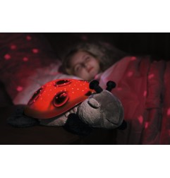 TWILIGHT LADYBUG - COCCINELLE