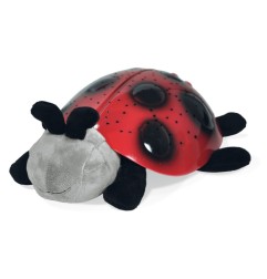TWILIGHT LADYBUG - COCCINELLE