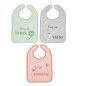 LOT DE 3 BAVOIRS 1ER AGE-CHANCE-25X36