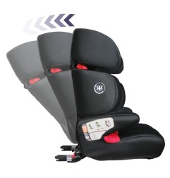 GROUPE 23 ISOFIX - RENOFIX