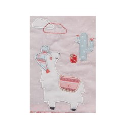 PROTEGE CARNET DE SANTE