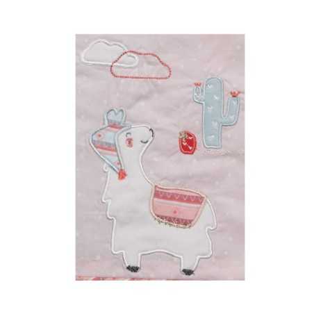 PROTEGE CARNET DE SANTE