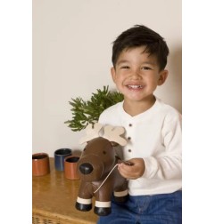 LES ANIMAUX MUSICAUX - BRUCE LELAN