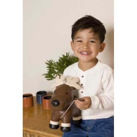 LES ANIMAUX MUSICAUX - BRUCE LELAN