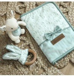 PROTEGE CARNET DE SANTE 26X17 CM FILOU