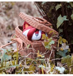 DOUDOU RENARD 34X34CM