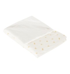 COUVERTURE - DIPLODODO