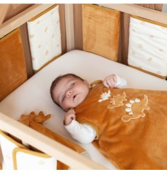 PROTEGE BARREAUX LIT