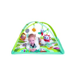 TAPIS AVEC ARCHES SUNNY DAY DANS LA PRAIRIE