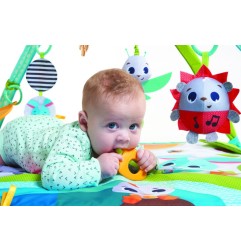 TAPIS AVEC ARCHES SUNNY DAY DANS LA PRAIRIE