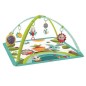 TAPIS AVEC ARCHES SUNNY DAY DANS LA PRAIRIE