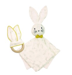 BOX DOUDOU + ANNEAU DENTITION LEAFY BUNNY