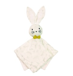 BOX DOUDOU + ANNEAU DENTITION LEAFY BUNNY