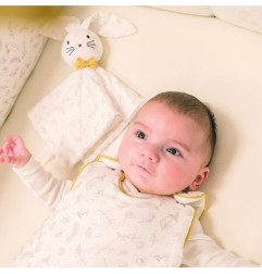 BOX DOUDOU + ANNEAU DENTITION LEAFY BUNNY