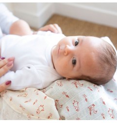 LOT 3 LANGES 70*70CM - OIES