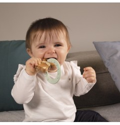 ANNEAU DENTITION RENARD