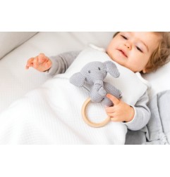 ANNEAU DENTITION BOIS TEMBO