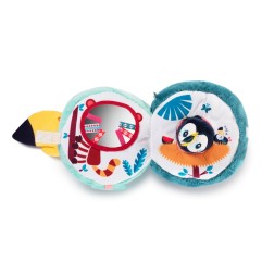 PABLO TOUCAN DECOUVERTES