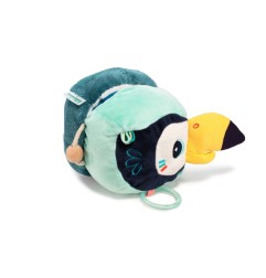 PABLO TOUCAN DECOUVERTES