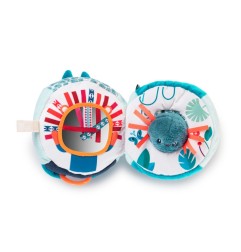 MARIUS RHINO DECOUVERTES