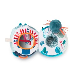 MARIUS RHINO DECOUVERTES