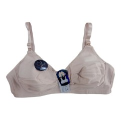 SOUTIENT ALLAITEMENT