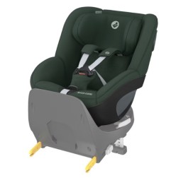 MC PEARL 360 AUTHENTIC GREEN (PLUS) - WITHOUT INLAY