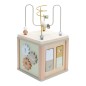 CUBE D'ACTIVITES LITTLE GOOSE