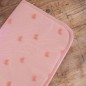 PROTEGE CARNET SANTE