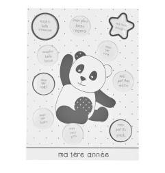 PELE-MELE PHOTOS MA PREMIERE ANNEE BABYPANDA CHAO