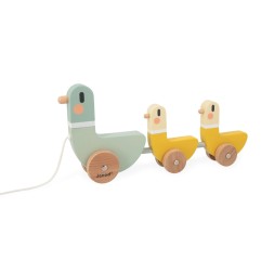 SWC - CANARDS A TIRER