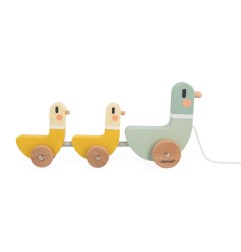 SWC - CANARDS A TIRER