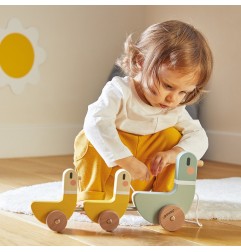 SWC - CANARDS A TIRER