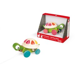 TORTUE A PROMENER ZIGOLOS