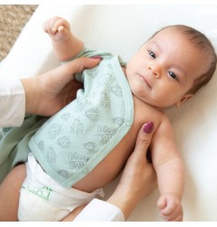 LOT 2 BODY MC - FEUILLE