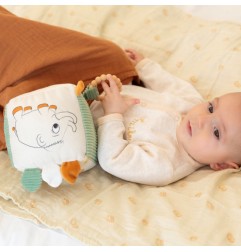 CUBE D'EVEIL-DIPLODODO