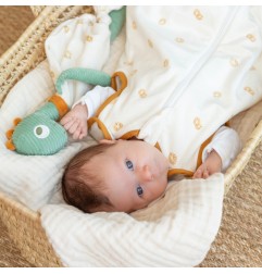 DOUDOU DINOSAURE-DIPLODODO