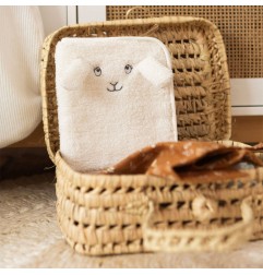 PROTEGE CARNET SANTE