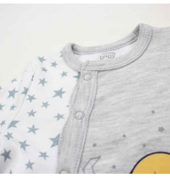 GRENOUILLERE INTERLOCK LE ROI LION.