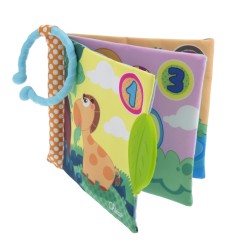 LIVRE 1ERES DECOUVERTES EN BALADE