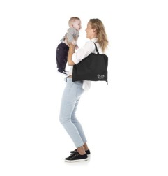 ORGANISEUR DE VOITURE