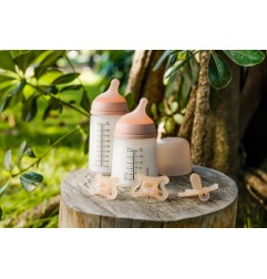 BIBERON ANTI-COLIQUE