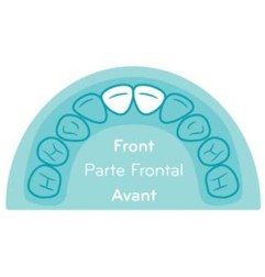 ANNEAU DE DENTITION - PREMIERE ETAPE - ELEPHANT