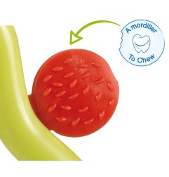 ANNEAU DE DENTITION FRAISY