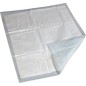 PLAN A LANGER ULTRA ABSORBANT (X10)